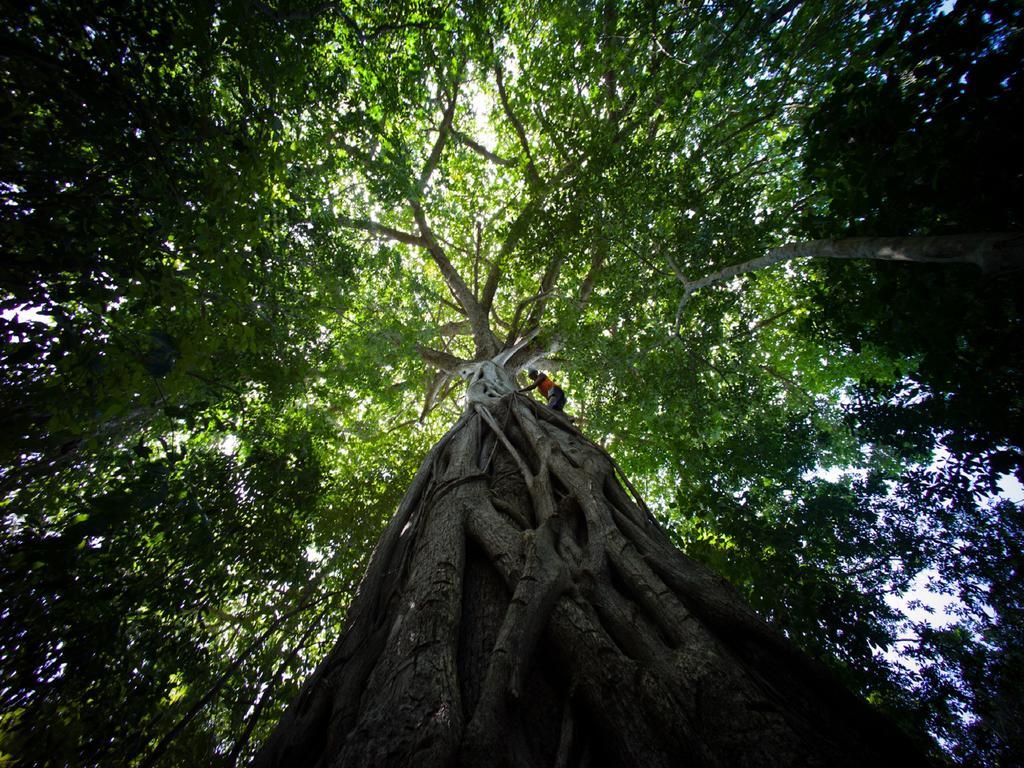 Pousada La Bonita Baía Formosa Eksteriør bilde