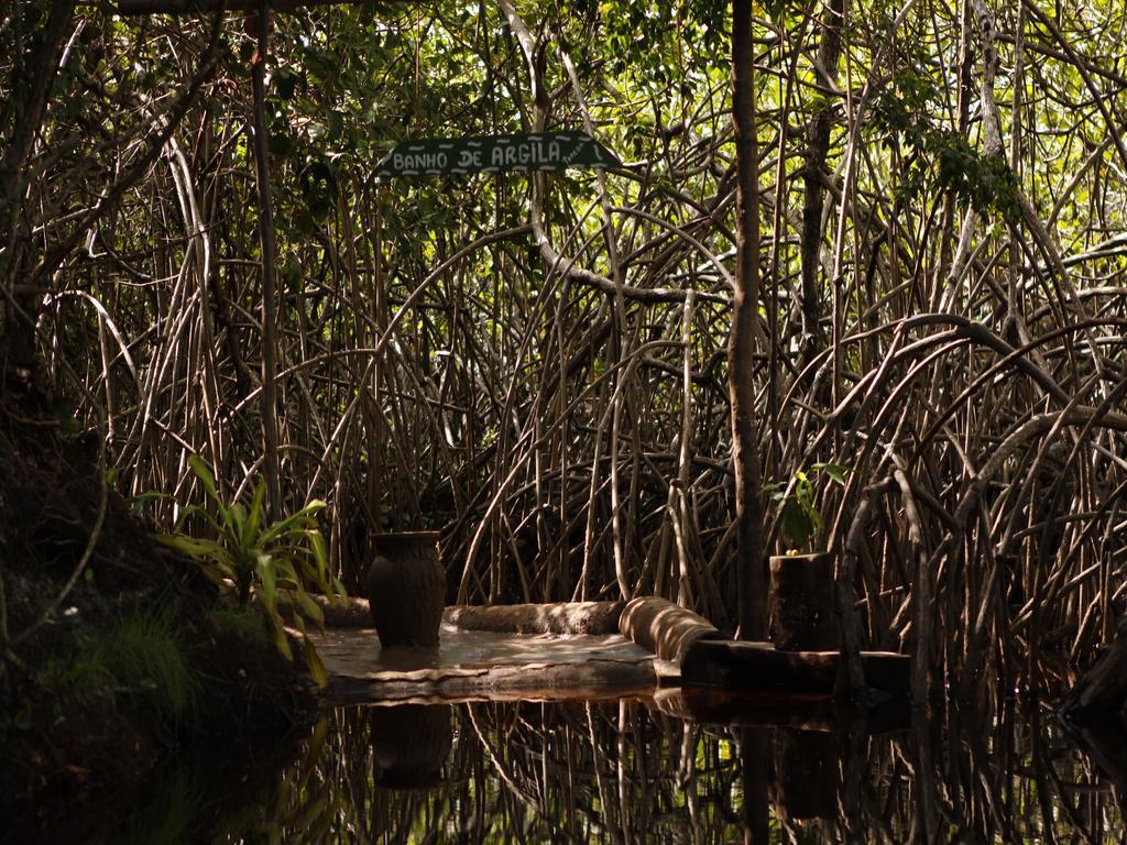 Pousada La Bonita Baía Formosa Eksteriør bilde