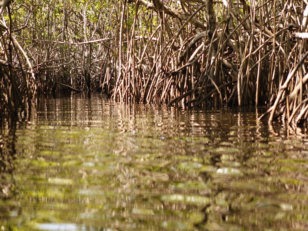 Pousada La Bonita Baía Formosa Eksteriør bilde