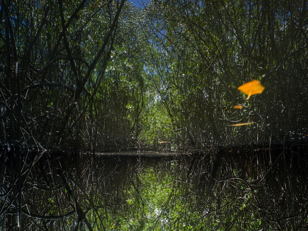 Pousada La Bonita Baía Formosa Eksteriør bilde